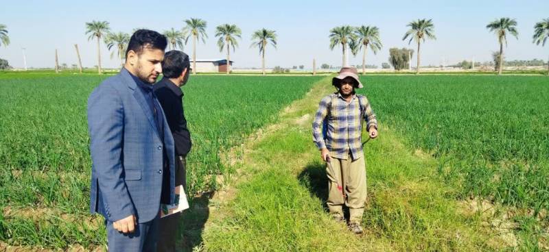 بازدید محقق معین مركز تحقیقات و آموزش كشاورزی و منابع طبیعی جنوب استان كرمان